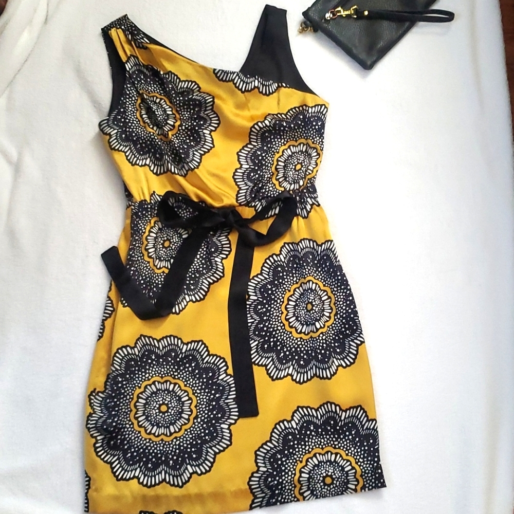 Yoana Baraschi Golden Yellow Silk Dress | Size 4